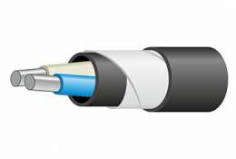 АВБШв 2* 50 ок-0,66