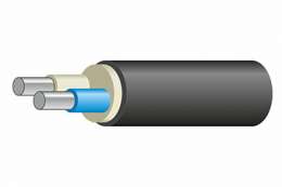 АВВГнг(А)-LS  2* 50 ок-0,66